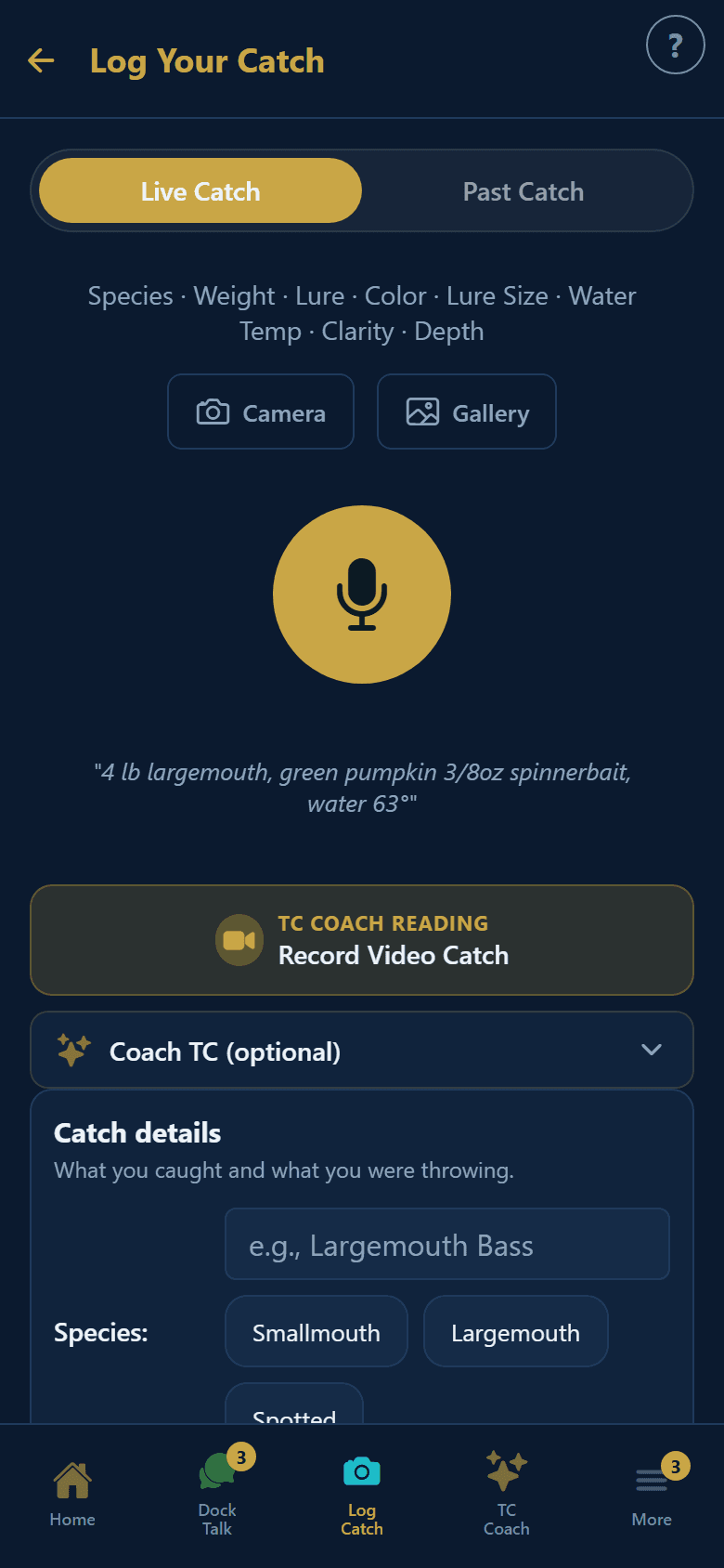Quick Capture voice logging on phone